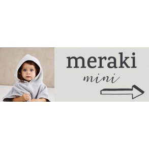 Meraki Mini